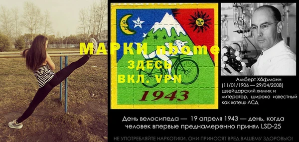 сатива Армянск