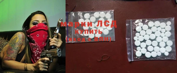 стаф Аркадак