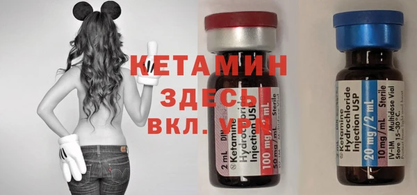 сатива Армянск