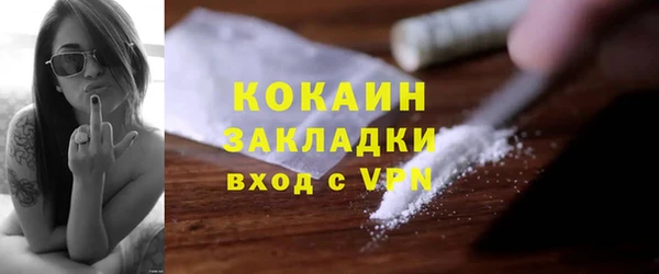 стаф Аркадак