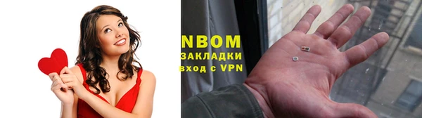 стаф Аркадак