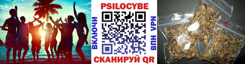 Псилоцибиновые грибы ЛСД где найти наркотики МЕГА вход Олонец